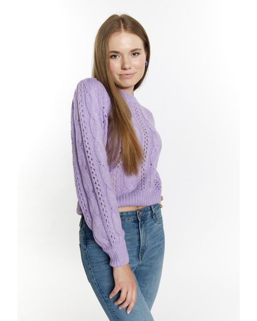 myMo Purple Pullover