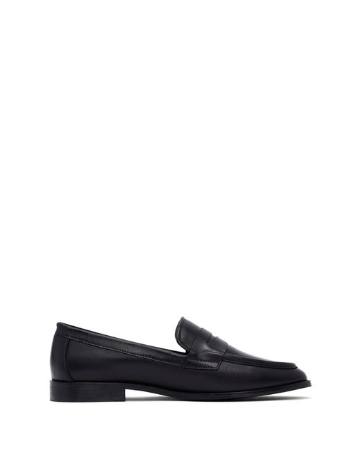 Derimod Blue Slipper