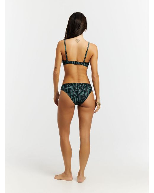 Protest Black Bikini Prterrori