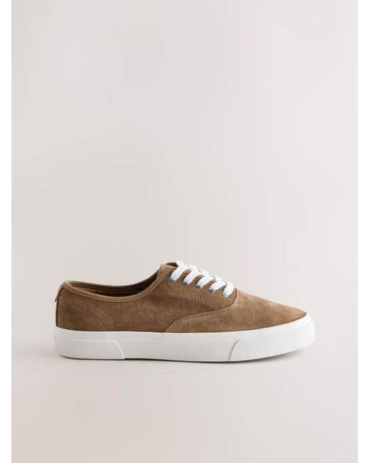 Next Sneaker N. Premium in Brown für Herren