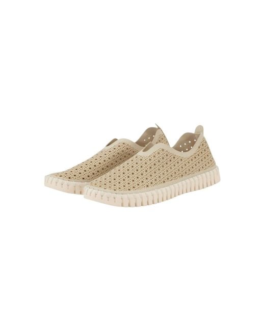 Ilse Jacobsen White Slipper Tulip4031