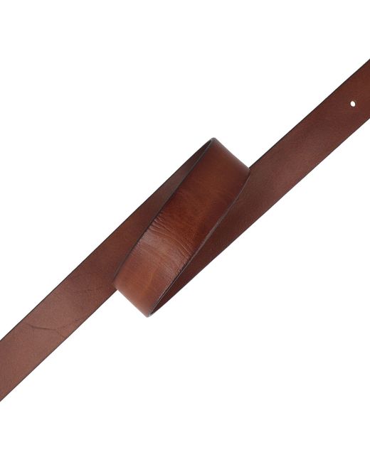 Strellson Gürtel in Brown für Herren