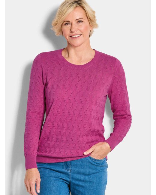 Goldner Pink Pullover