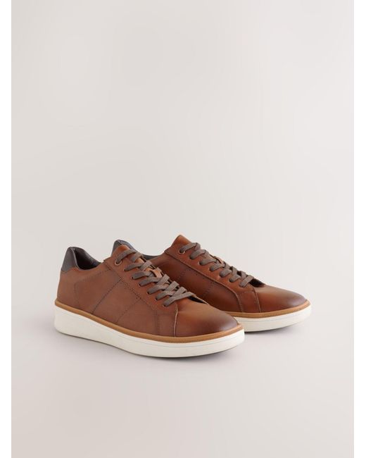 Next Sneaker in Brown für Herren