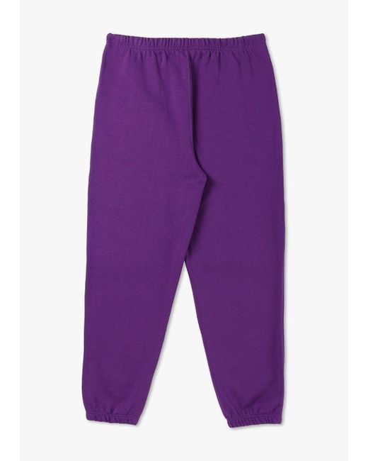 Lacoste Purple Winter Elevated Essential Sweatpants for men