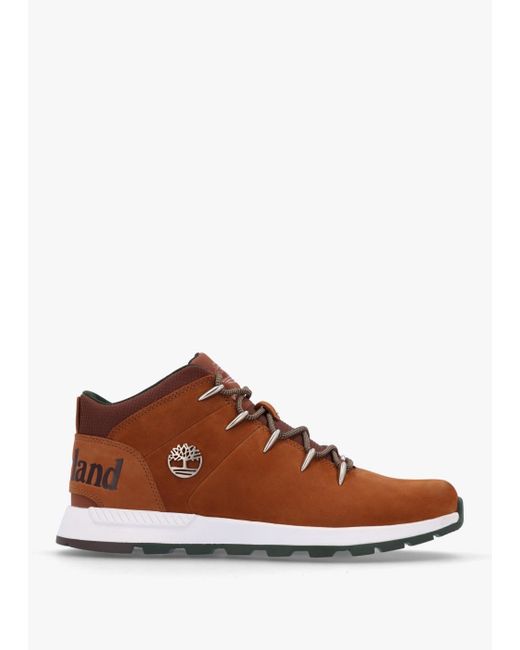 Timberland Brown Sprint Trekker Lace Up Rust Nubuck Mid Top Trainers for men