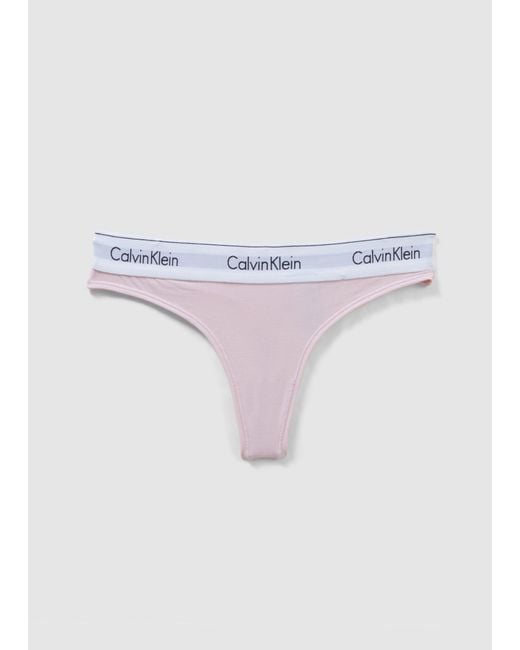 Calvin Klein Underwear Modern Cotton Mid Rise Thong in Pink | Lyst