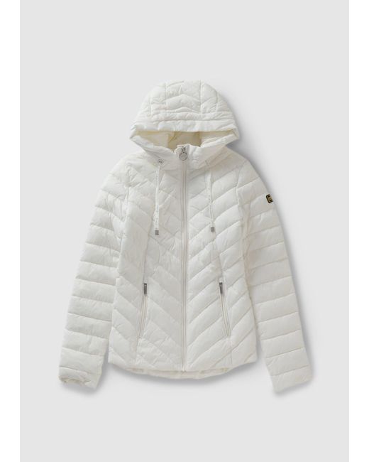 barbour albatross quilt