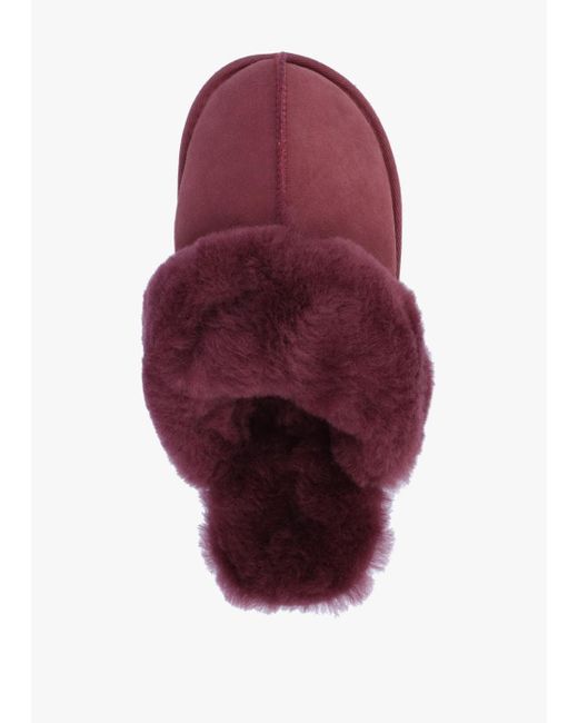 Daniel Red Shut Burgundy Sheepskin Twinface Slippers