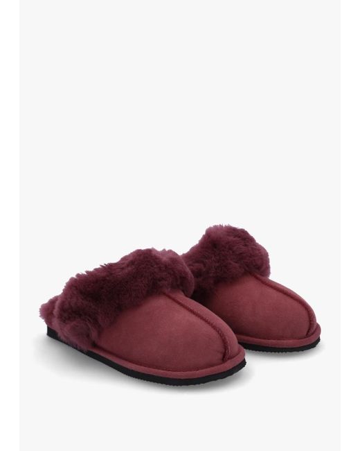 Daniel Red Shut Burgundy Sheepskin Twinface Slippers