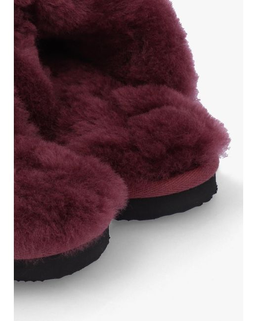 Daniel Red Shut Burgundy Sheepskin Twinface Slippers