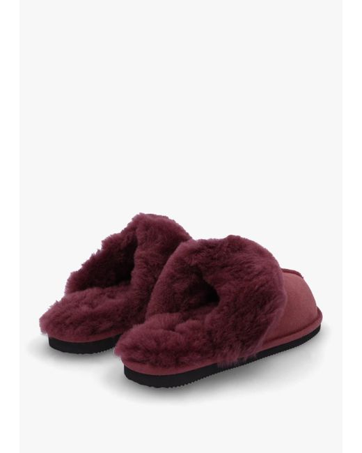 Daniel Red Shut Burgundy Sheepskin Twinface Slippers