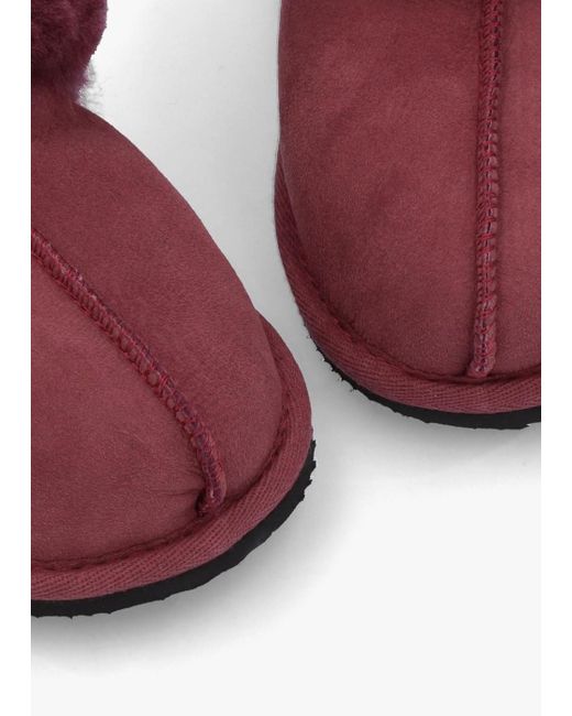 Daniel Red Shut Burgundy Sheepskin Twinface Slippers