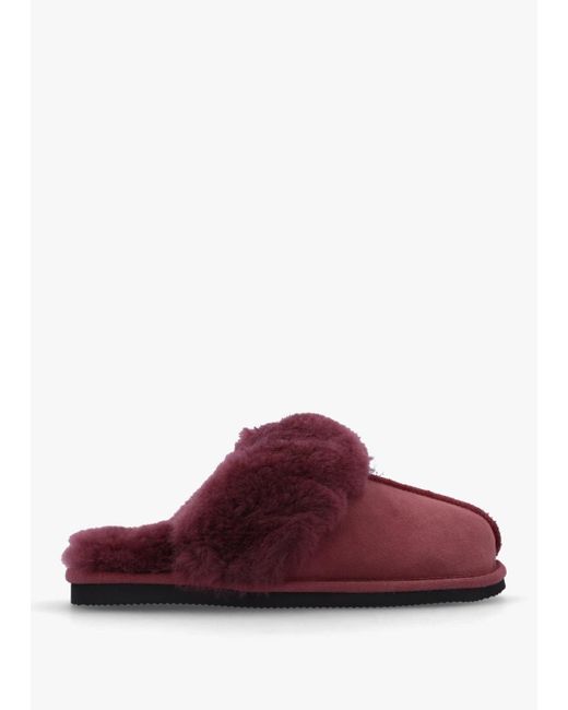 Daniel Red Shut Burgundy Sheepskin Twinface Slippers