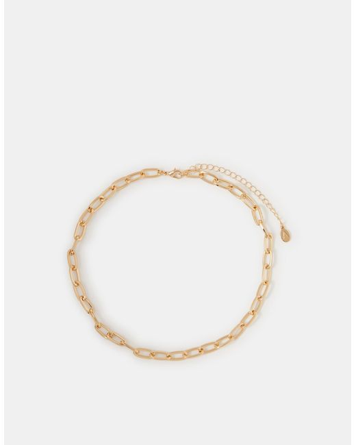 Accessorize Natural Link Chain Necklace