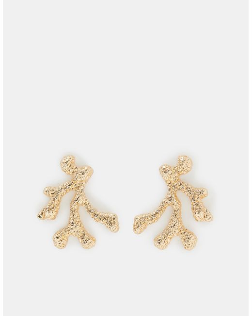 Accessorize Natural Reef Stud Earrings