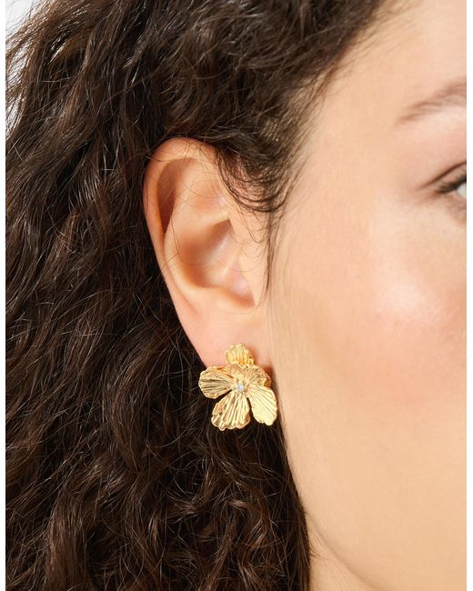 Accessorize Natural Textured Flower Stud Earrings