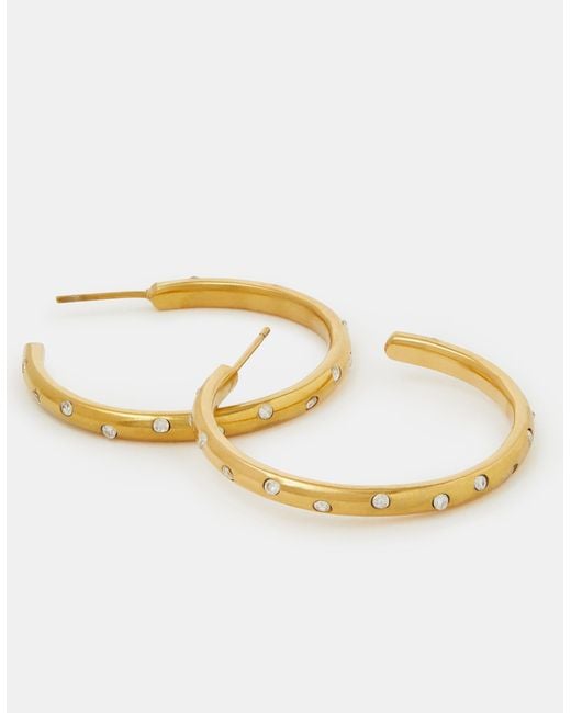 Accessorize Metallic Stainless Steel Cubic Zirconia Hoop Earrings