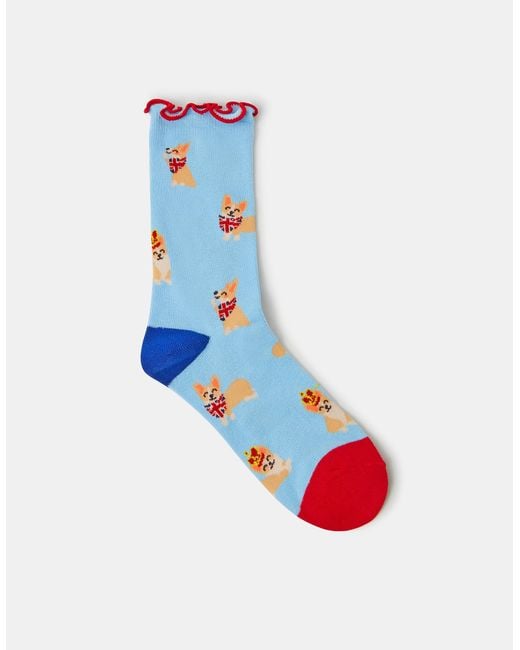 Accessorize Blue Corgi Print Socks