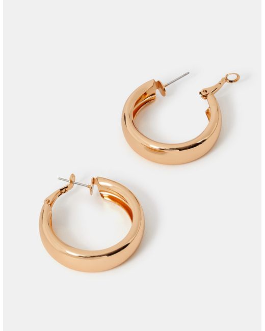 Accessorize Brown Chunky Hoop Earrings