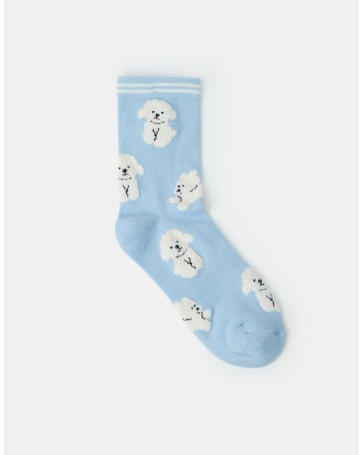 Accessorize Blue Poodle Print Socks
