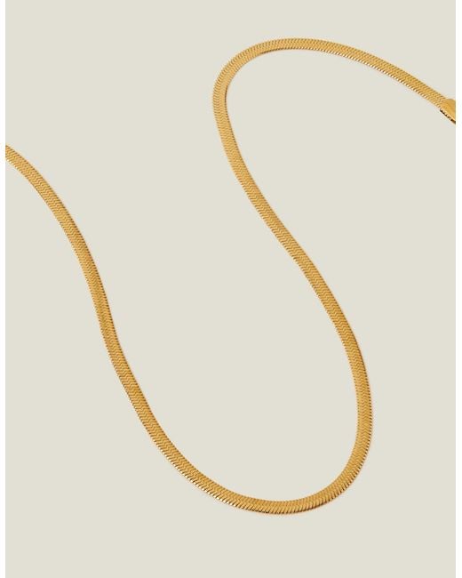 Accessorize Natural Stainless Steel Omega Chain Necklace