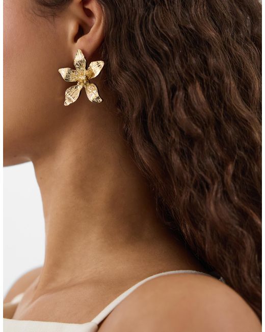 Accessorize Brown Large Flower Stud Earrings