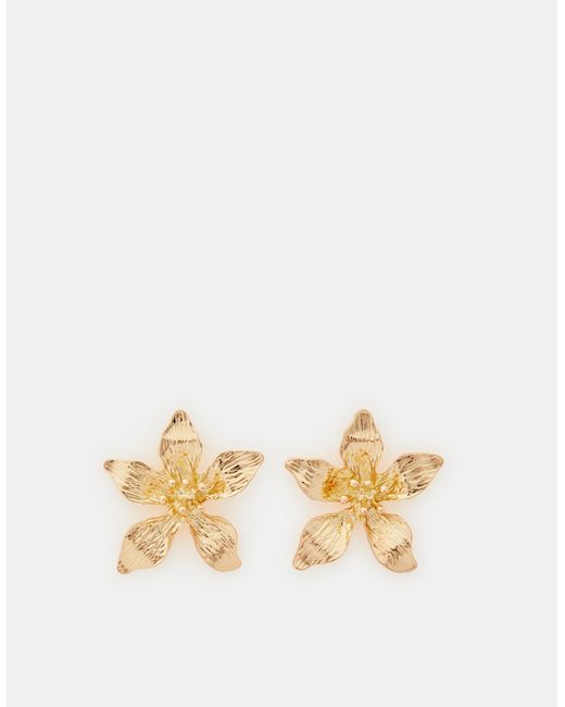 Accessorize Brown Large Flower Stud Earrings