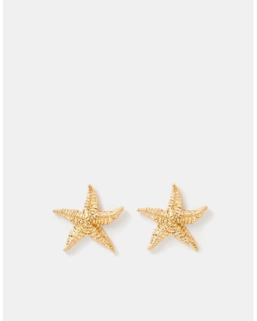 Accessorize Natural Statement Starfish Stud Earrings