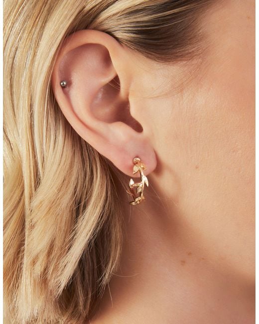Accessorize gold hoops best sale