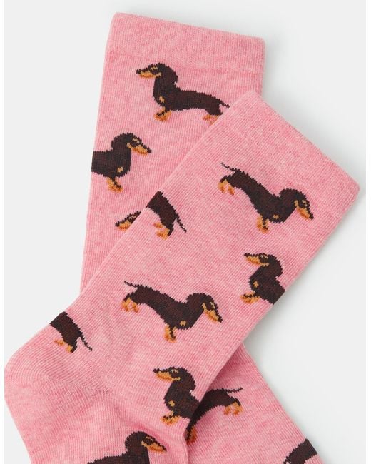 Accessorize Pink Sausage Dog Print Socks