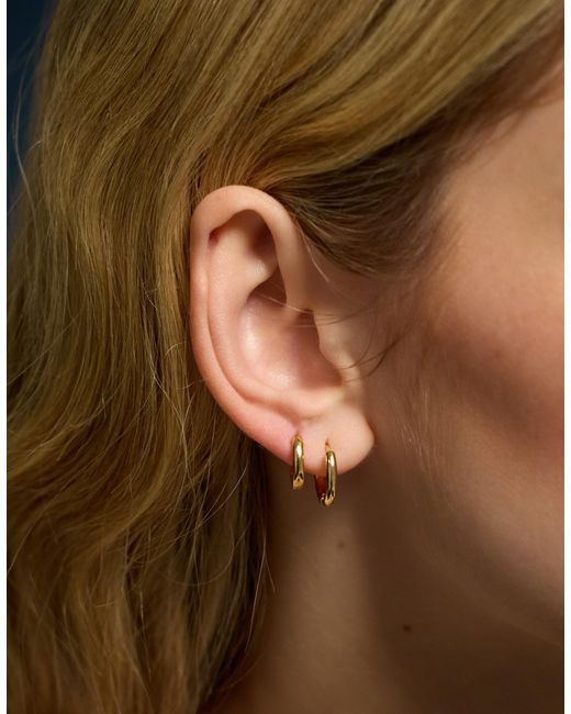 Accessorize Natural 2-Pack 14Ct-Plated Hoop Earrings