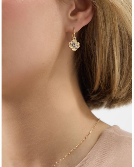 Accessorize Brown Diamanté Clover Drop Earrings