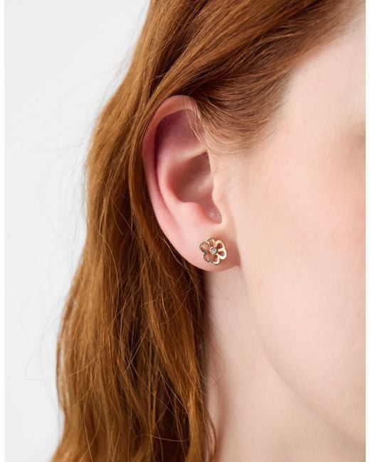 Accessorize Brown 3-Pack Flower Stud Earrings