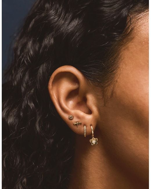 Accessorize Metallic 4-Pack 14Ct-Plated Dragonfly Stud & Hoop Earrings