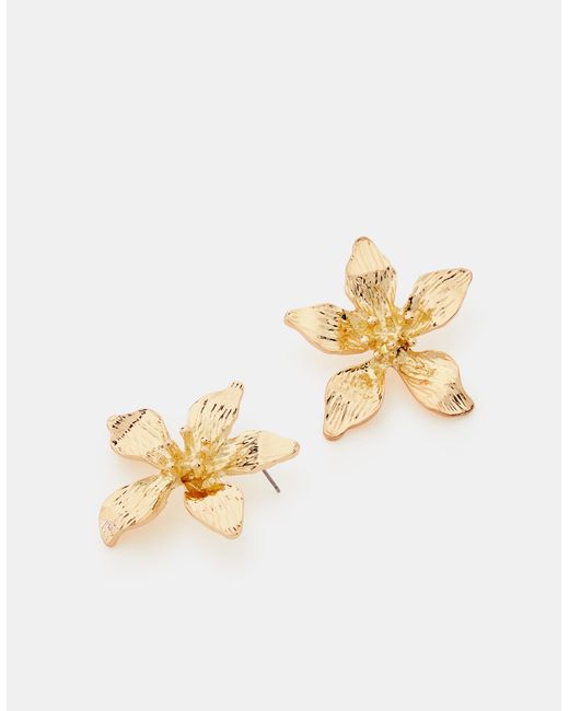 Accessorize Brown Large Flower Stud Earrings