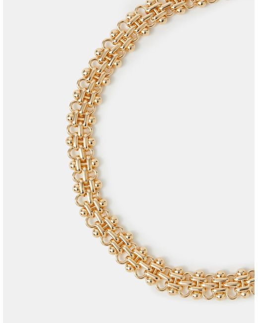 Accessorize Brown Statement Chain Necklace