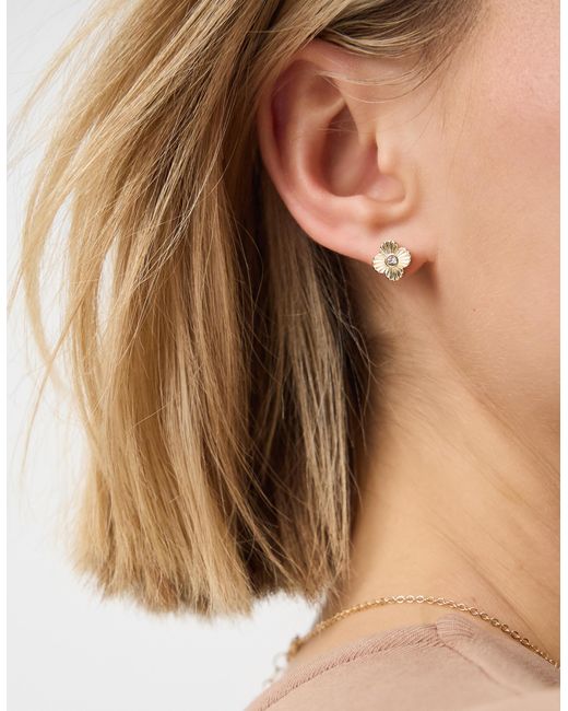 Accessorize Brown 3-Pack Clove Stud Earrings