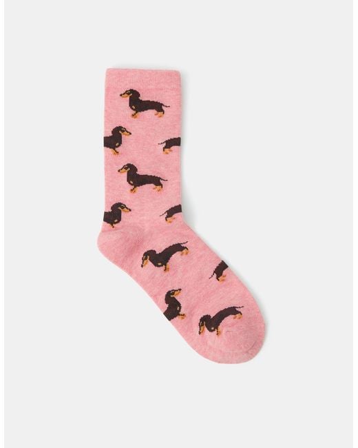 Accessorize Pink Sausage Dog Print Socks