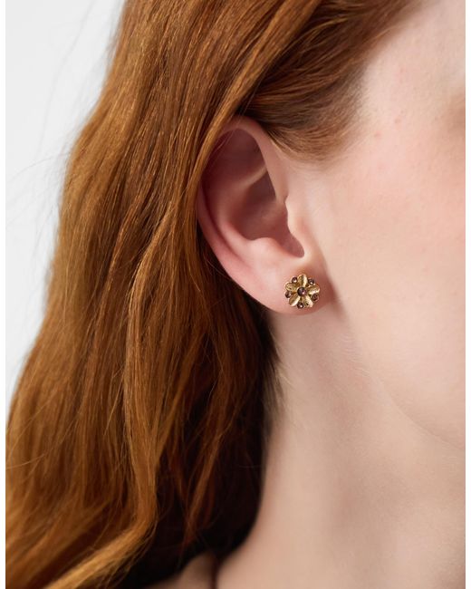Accessorize Brown 5-Pack Flower Stud Earrings