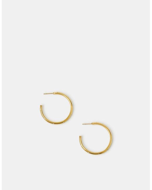 Accessorize Metallic Stainless Steel Cubic Zirconia Hoop Earrings
