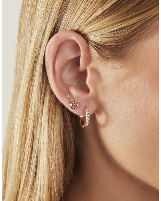 Accessorize Brown 6-Pack Flower Stud And Hoop Earrings