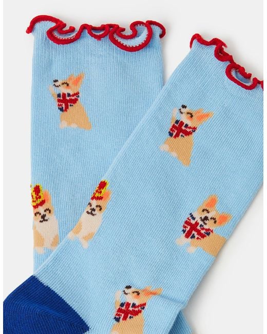 Accessorize Blue Corgi Print Socks