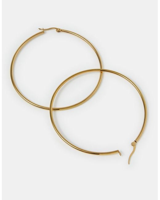Accessorize Metallic Stainless Steel Hoop Earrings