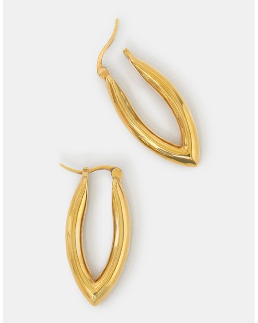 Accessorize Metallic 14Ct-Plated V-Shaped Hoop Earrings