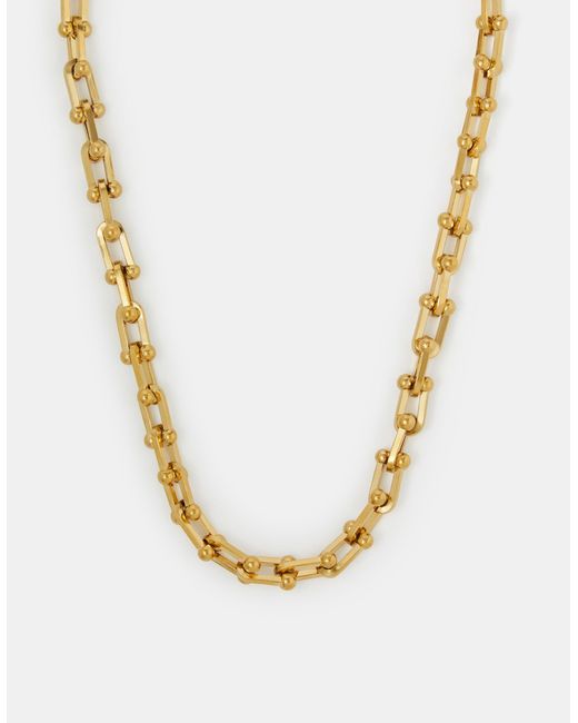 Accessorize Metallic Stainless Steel Horseshoe Chain Necklace