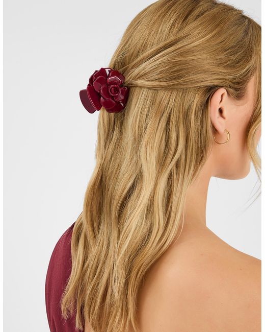 Accessorize Multicolor Claw Clip