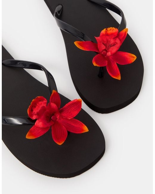 Accessorize White Tropical Flower Flip Flops