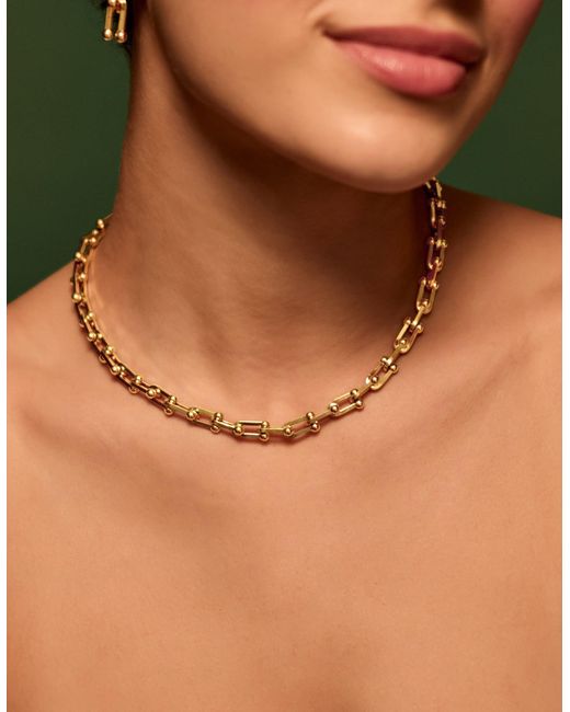 Accessorize Metallic Stainless Steel Horseshoe Chain Necklace