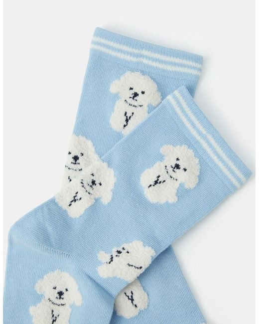 Accessorize Blue Poodle Print Socks